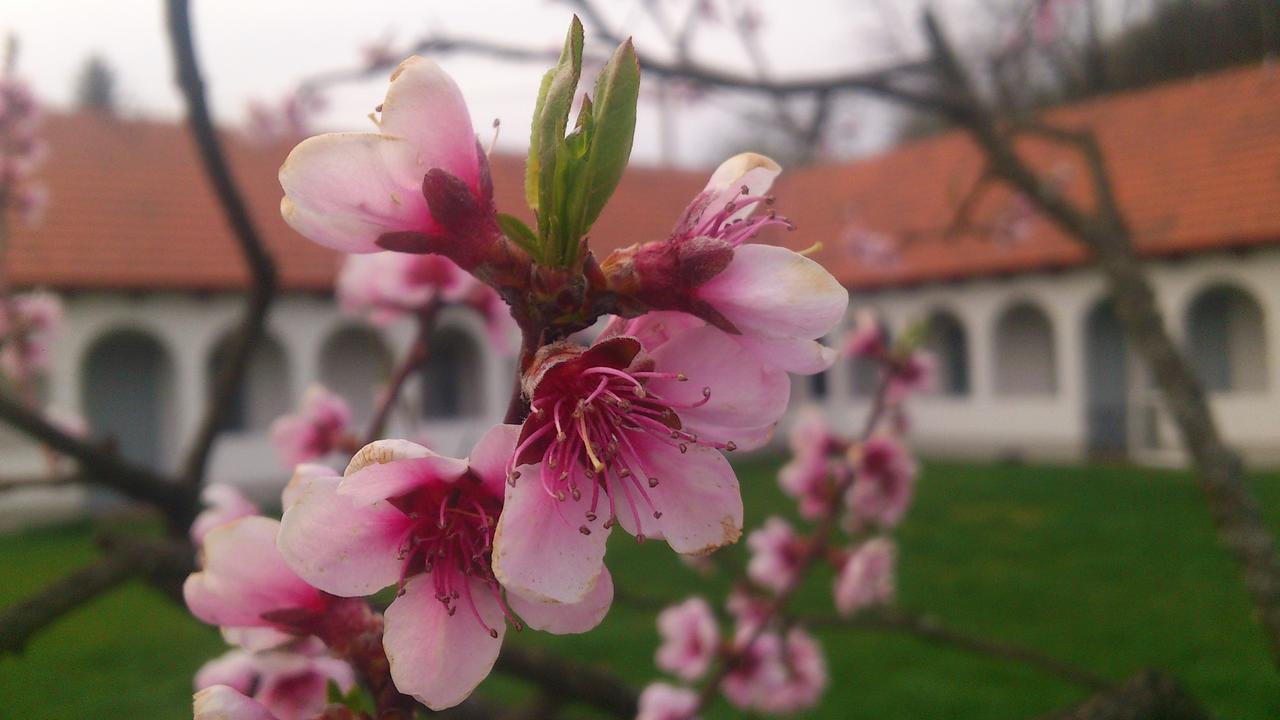 Bakta ház Hotel Egerbakta Exterior foto